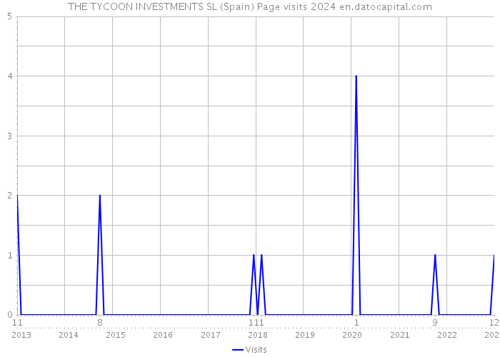 THE TYCOON INVESTMENTS SL (Spain) Page visits 2024 
