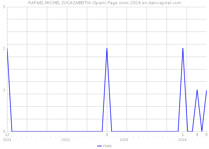 RAFAEL MICHEL ZUGAZABEITIA (Spain) Page visits 2024 