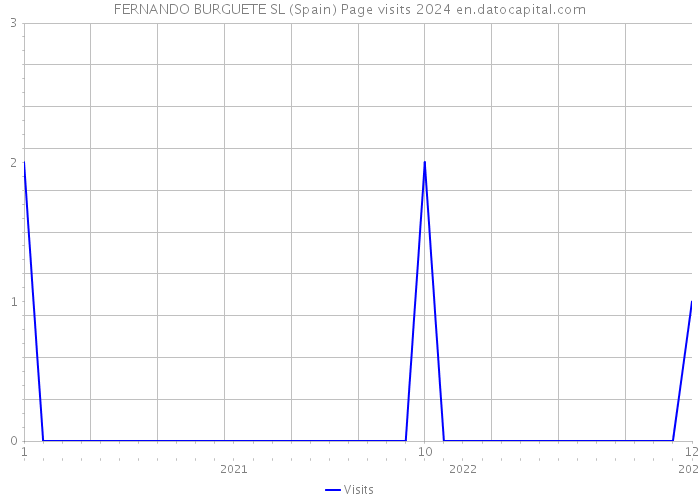 FERNANDO BURGUETE SL (Spain) Page visits 2024 