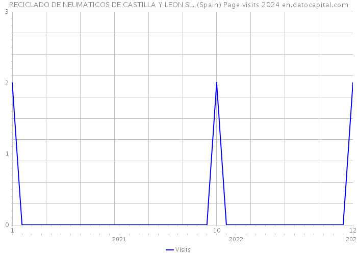 RECICLADO DE NEUMATICOS DE CASTILLA Y LEON SL. (Spain) Page visits 2024 