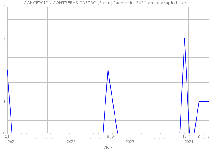 CONCEPCION CONTRERAS CASTRO (Spain) Page visits 2024 