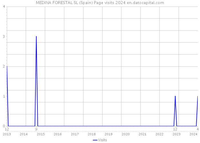MEDINA FORESTAL SL (Spain) Page visits 2024 