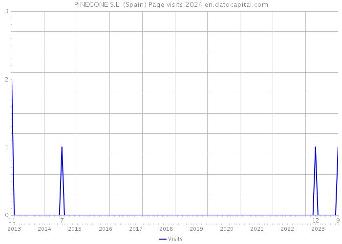 PINECONE S.L. (Spain) Page visits 2024 