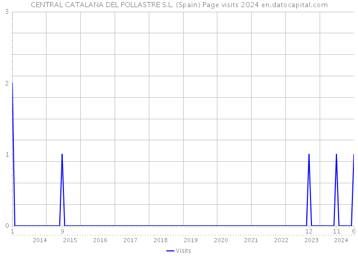 CENTRAL CATALANA DEL POLLASTRE S.L. (Spain) Page visits 2024 