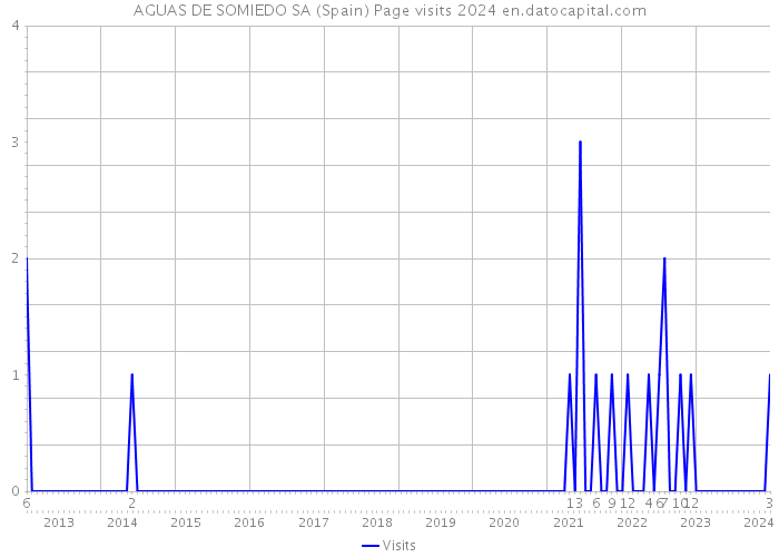 AGUAS DE SOMIEDO SA (Spain) Page visits 2024 