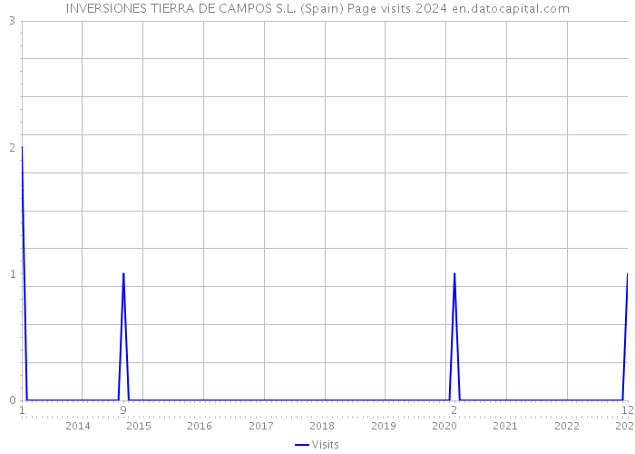 INVERSIONES TIERRA DE CAMPOS S.L. (Spain) Page visits 2024 
