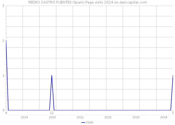 PEDRO CASTRO FUENTES (Spain) Page visits 2024 