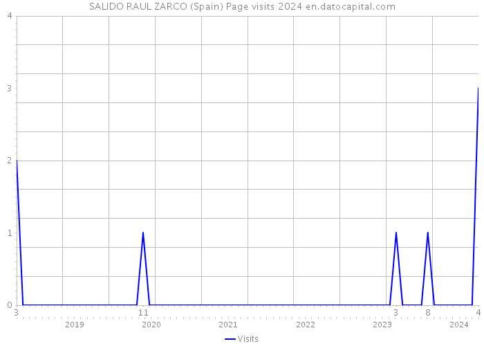 SALIDO RAUL ZARCO (Spain) Page visits 2024 