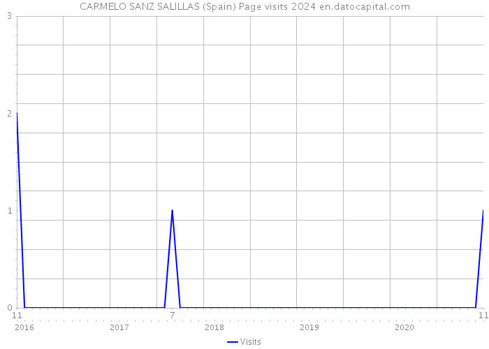 CARMELO SANZ SALILLAS (Spain) Page visits 2024 