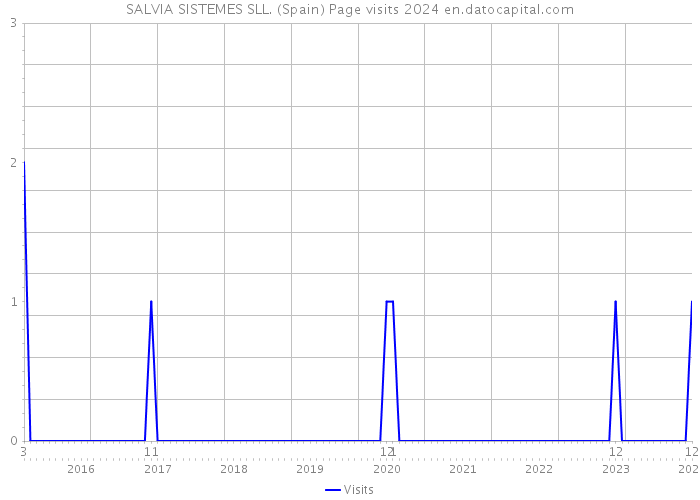 SALVIA SISTEMES SLL. (Spain) Page visits 2024 