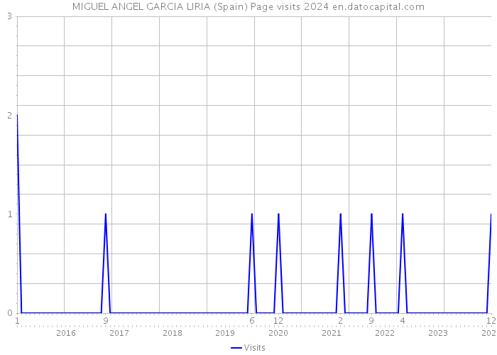 MIGUEL ANGEL GARCIA LIRIA (Spain) Page visits 2024 