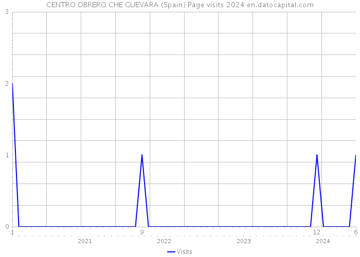 CENTRO OBRERO CHE GUEVARA (Spain) Page visits 2024 