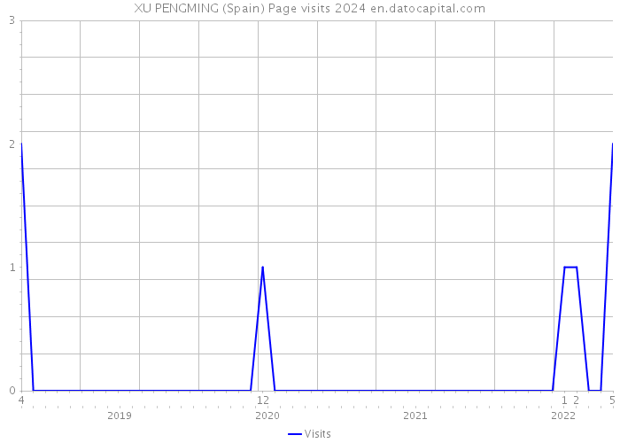 XU PENGMING (Spain) Page visits 2024 