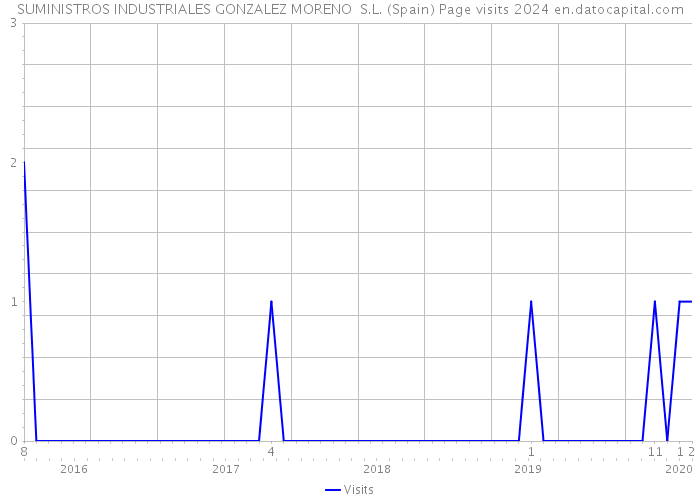 SUMINISTROS INDUSTRIALES GONZALEZ MORENO S.L. (Spain) Page visits 2024 