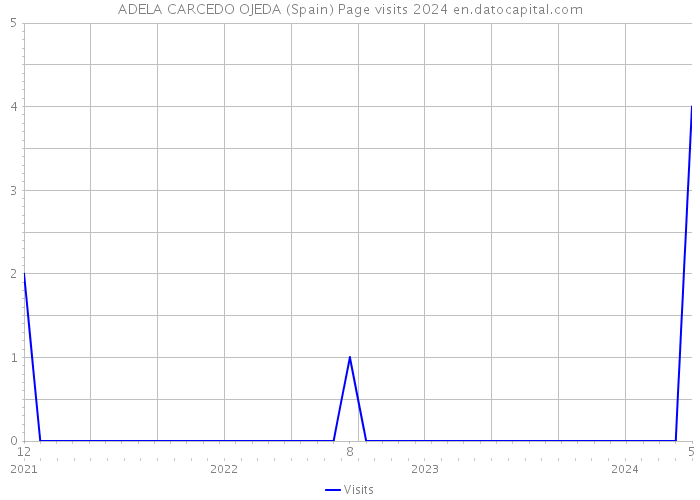 ADELA CARCEDO OJEDA (Spain) Page visits 2024 