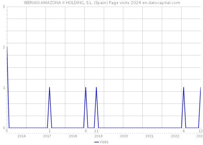 IBERIAN AMAZONA II HOLDING, S.L. (Spain) Page visits 2024 