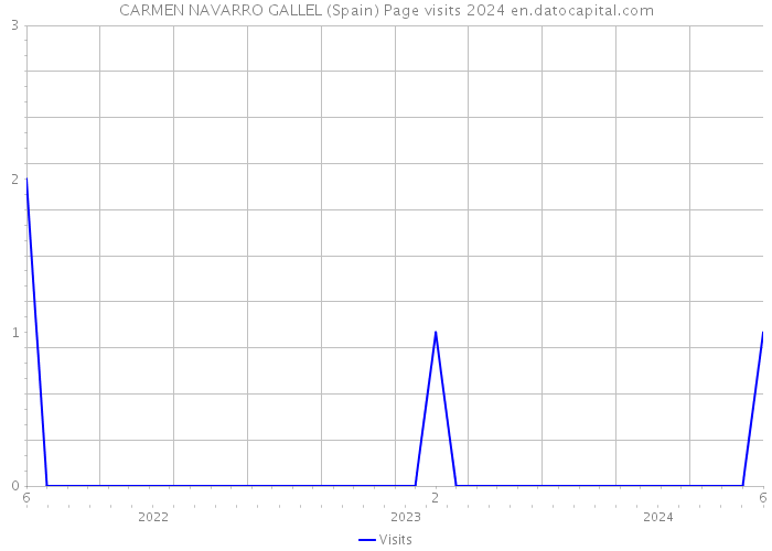 CARMEN NAVARRO GALLEL (Spain) Page visits 2024 