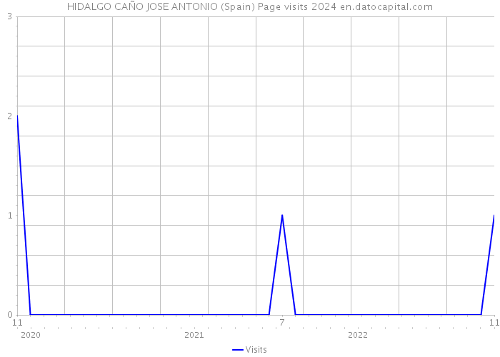 HIDALGO CAÑO JOSE ANTONIO (Spain) Page visits 2024 
