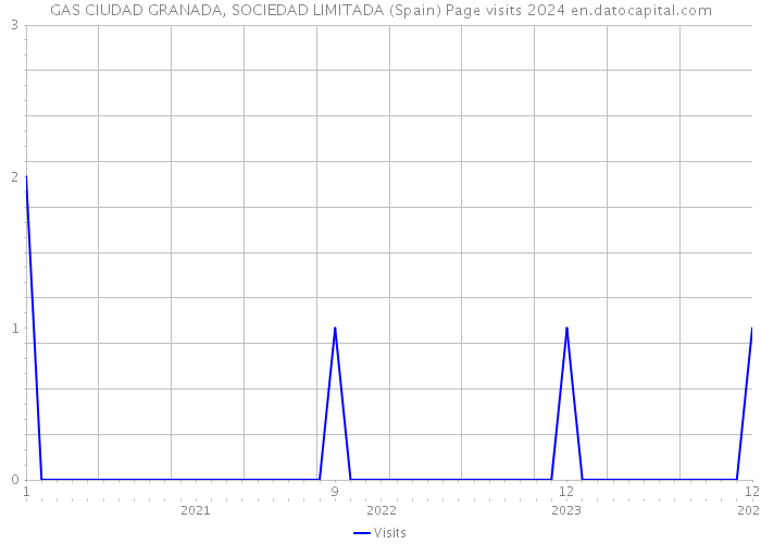 GAS CIUDAD GRANADA, SOCIEDAD LIMITADA (Spain) Page visits 2024 