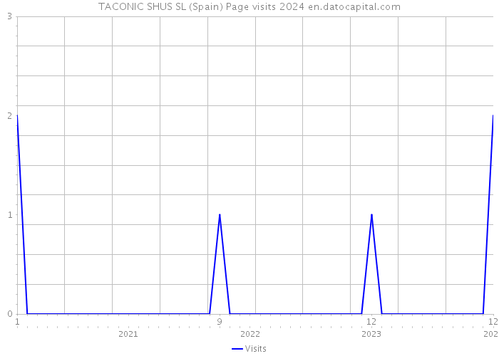 TACONIC SHUS SL (Spain) Page visits 2024 