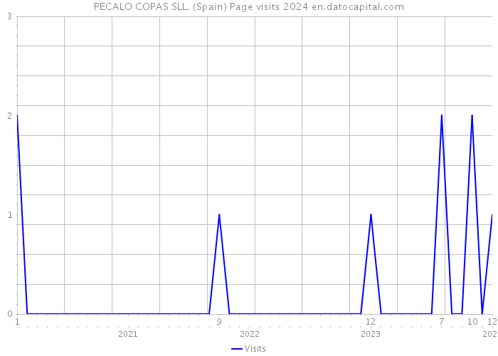 PECALO COPAS SLL. (Spain) Page visits 2024 