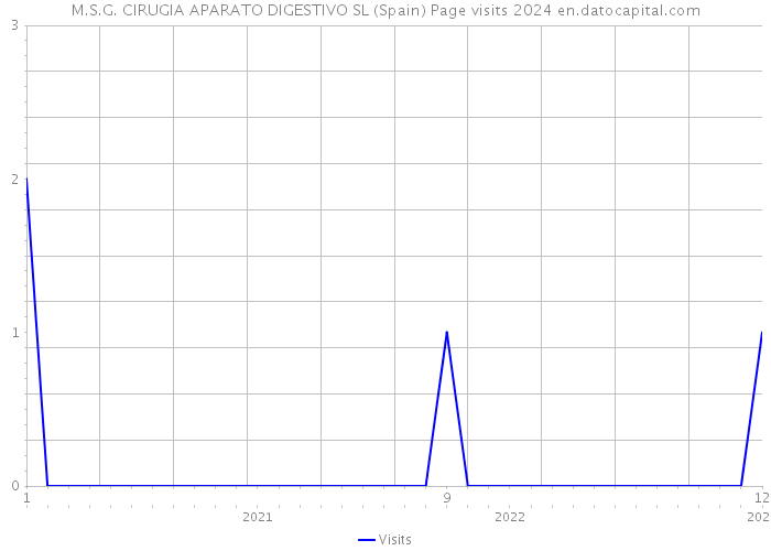 M.S.G. CIRUGIA APARATO DIGESTIVO SL (Spain) Page visits 2024 