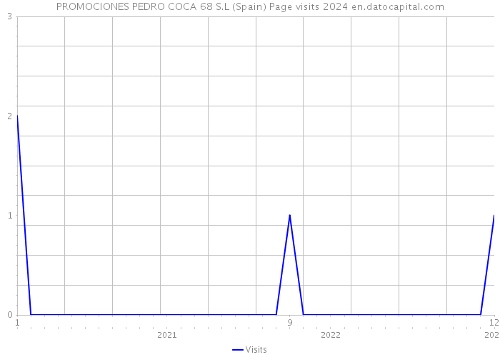 PROMOCIONES PEDRO COCA 68 S.L (Spain) Page visits 2024 