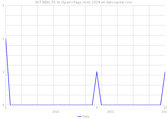 SAT REAL 55 SL (Spain) Page visits 2024 