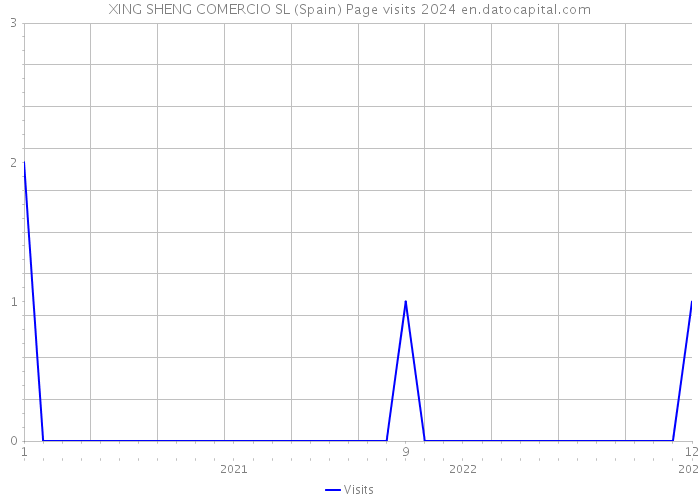 XING SHENG COMERCIO SL (Spain) Page visits 2024 