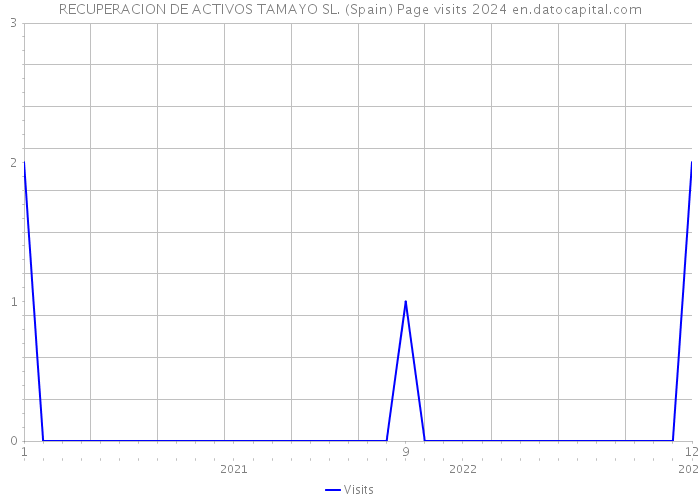 RECUPERACION DE ACTIVOS TAMAYO SL. (Spain) Page visits 2024 