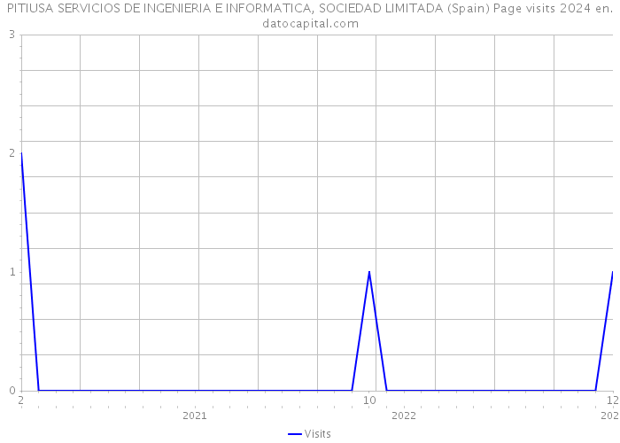 PITIUSA SERVICIOS DE INGENIERIA E INFORMATICA, SOCIEDAD LIMITADA (Spain) Page visits 2024 