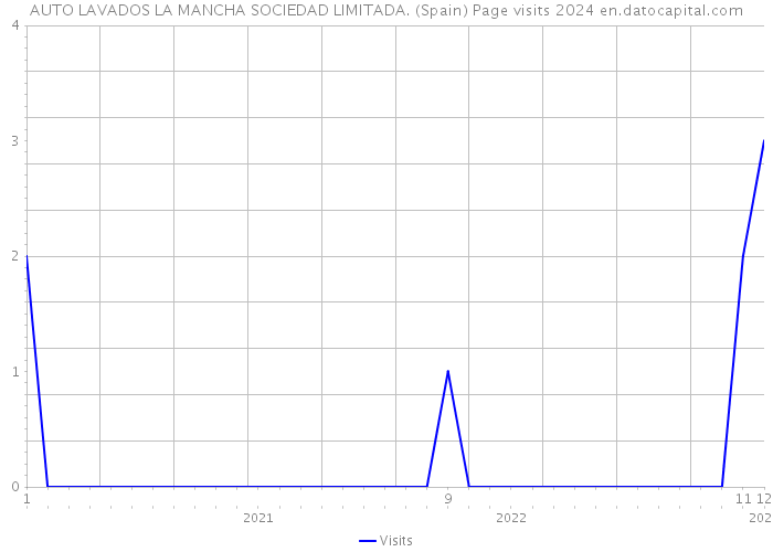 AUTO LAVADOS LA MANCHA SOCIEDAD LIMITADA. (Spain) Page visits 2024 