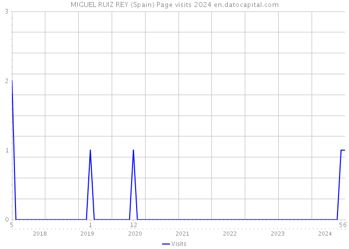 MIGUEL RUIZ REY (Spain) Page visits 2024 