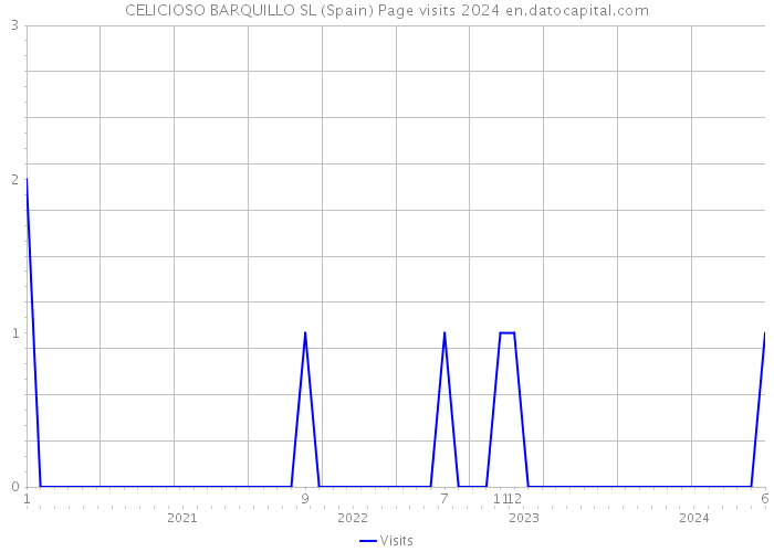 CELICIOSO BARQUILLO SL (Spain) Page visits 2024 