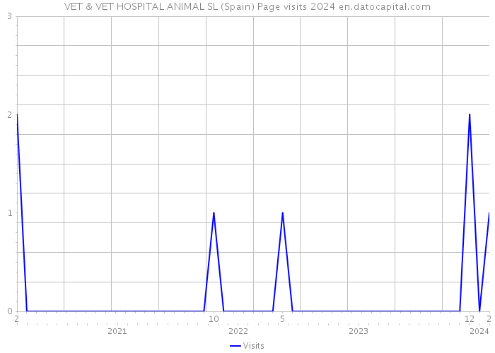 VET & VET HOSPITAL ANIMAL SL (Spain) Page visits 2024 