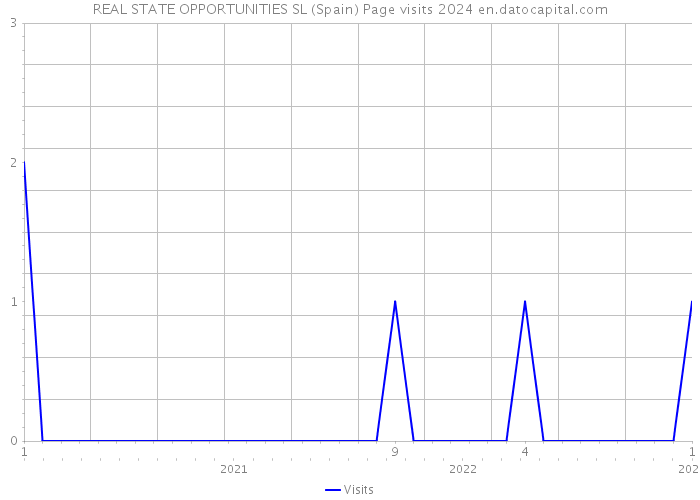REAL STATE OPPORTUNITIES SL (Spain) Page visits 2024 