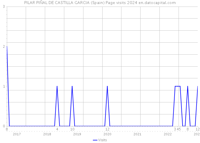 PILAR PIÑAL DE CASTILLA GARCIA (Spain) Page visits 2024 