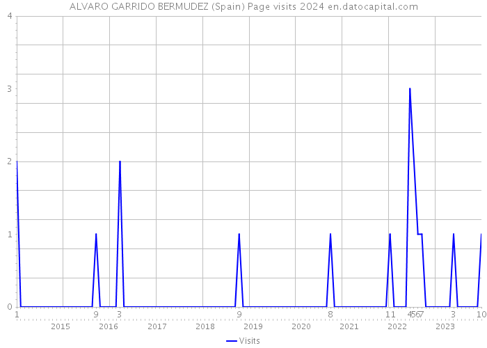 ALVARO GARRIDO BERMUDEZ (Spain) Page visits 2024 