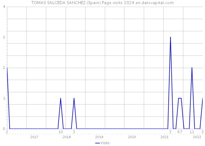 TOMAS SALCEDA SANCHEZ (Spain) Page visits 2024 