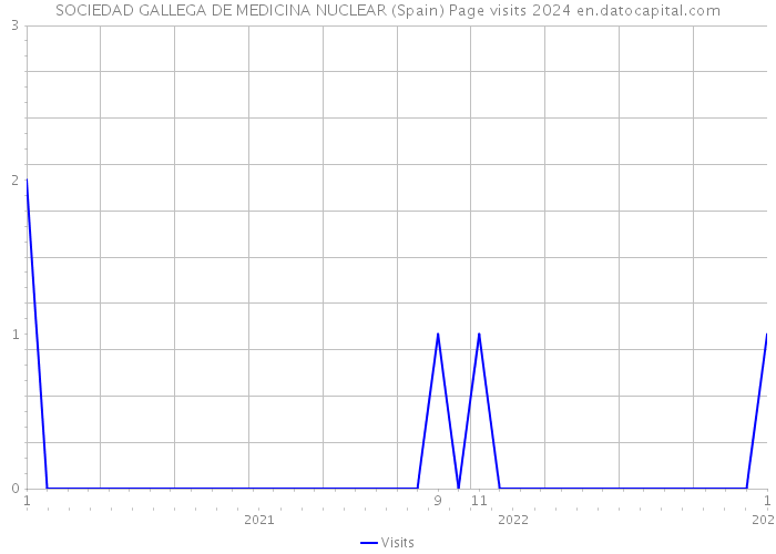 SOCIEDAD GALLEGA DE MEDICINA NUCLEAR (Spain) Page visits 2024 