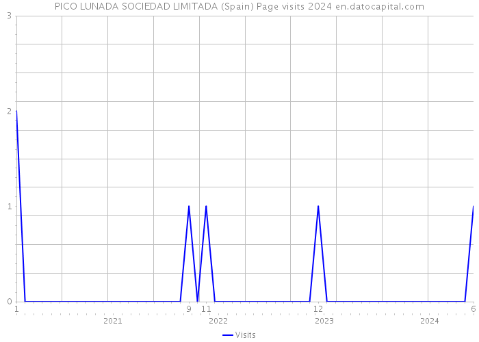 PICO LUNADA SOCIEDAD LIMITADA (Spain) Page visits 2024 