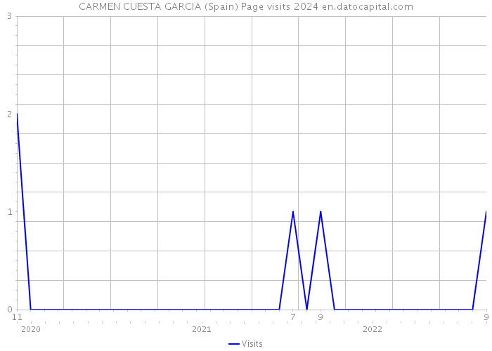 CARMEN CUESTA GARCIA (Spain) Page visits 2024 