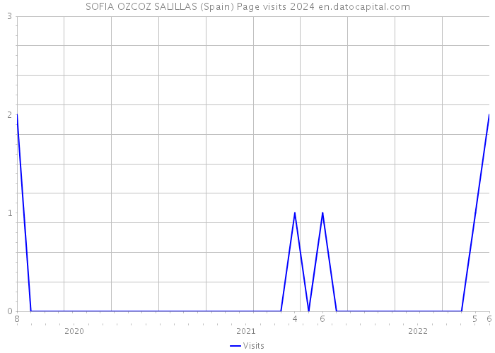 SOFIA OZCOZ SALILLAS (Spain) Page visits 2024 