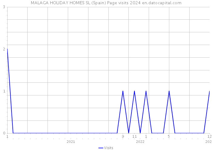 MALAGA HOLIDAY HOMES SL (Spain) Page visits 2024 