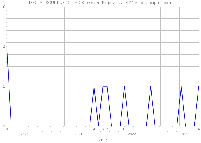 DIGITAL SOUL PUBLICIDAD SL (Spain) Page visits 2024 