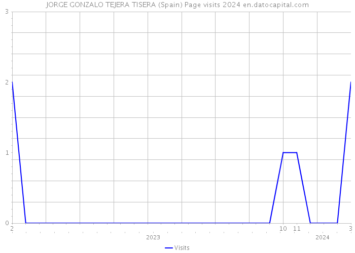 JORGE GONZALO TEJERA TISERA (Spain) Page visits 2024 