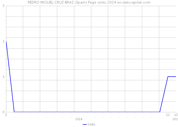PEDRO MIGUEL CRUZ BRAZ (Spain) Page visits 2024 