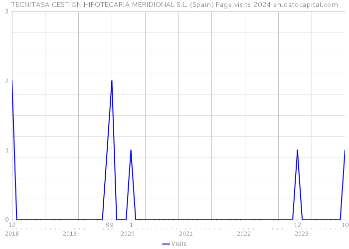 TECNITASA GESTION HIPOTECARIA MERIDIONAL S.L. (Spain) Page visits 2024 