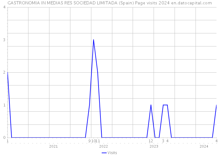 GASTRONOMIA IN MEDIAS RES SOCIEDAD LIMITADA (Spain) Page visits 2024 