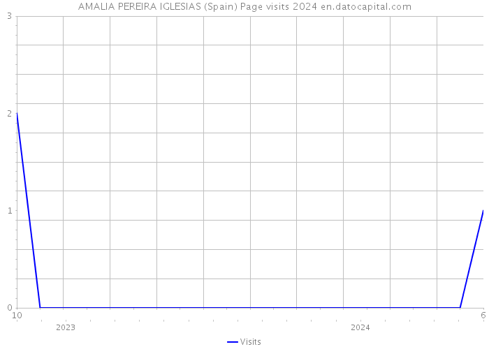 AMALIA PEREIRA IGLESIAS (Spain) Page visits 2024 